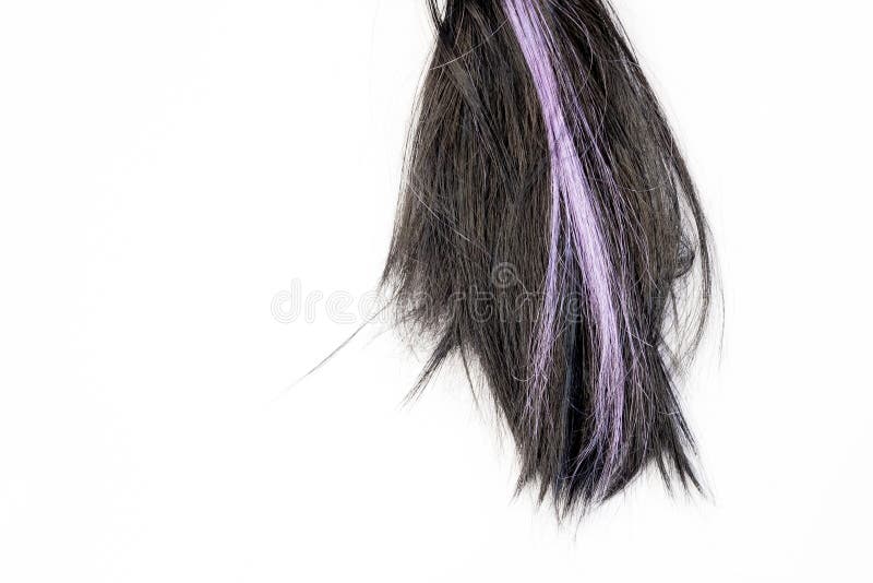 Dark Black And Purple Hair Ponytail On White Background