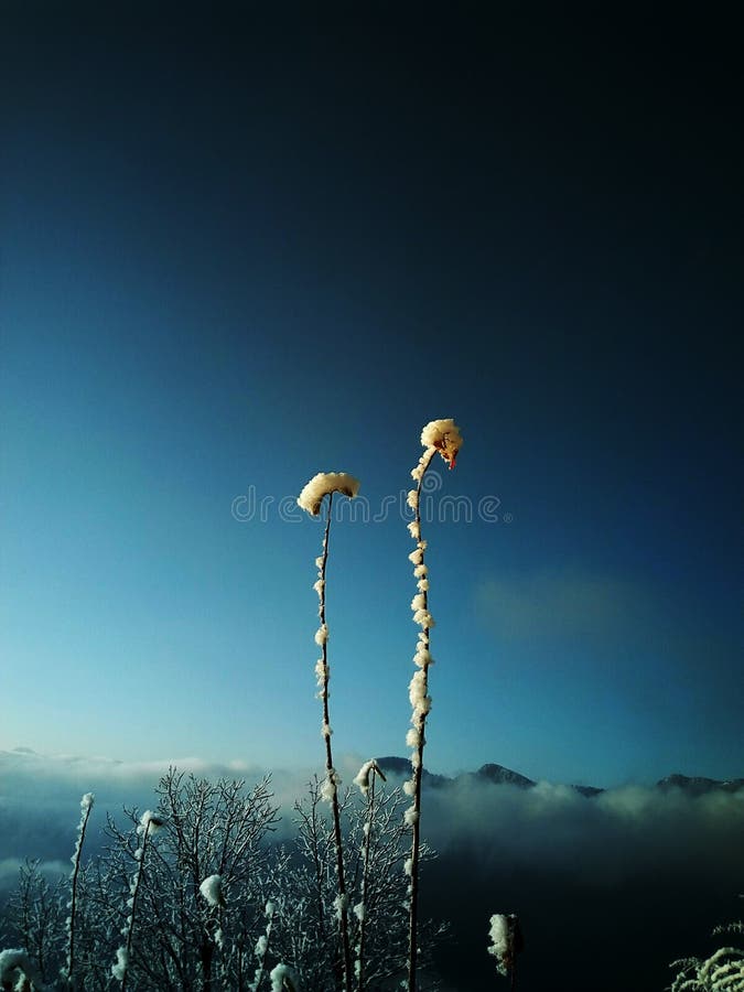 Wallpaper For Mobile Dark