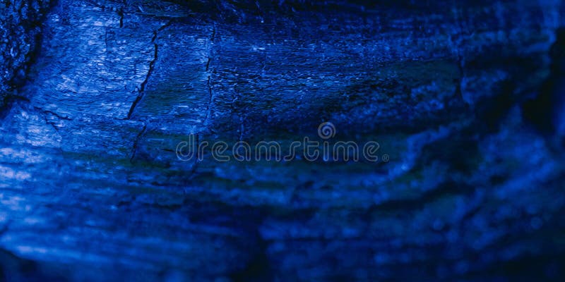 Dark blue tree charcoal texture ,blue tree bark texture royalty free stock images