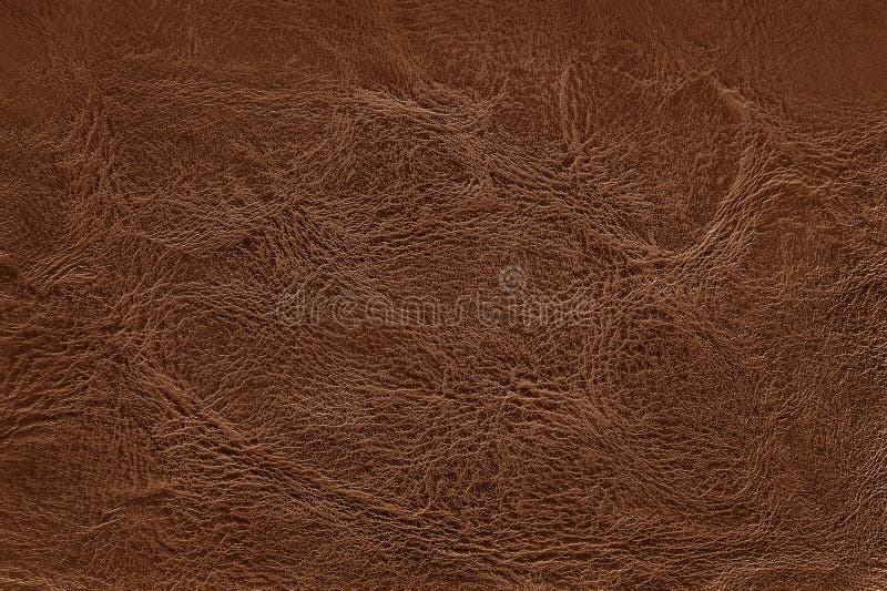 Dark Brown Leather Texture Background with Seamless Pattern and High  Resolution Stock Photo - Image of modern, resolution: 156123226