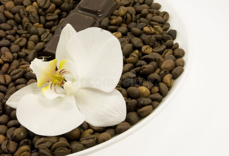 Dark chocolate and flower