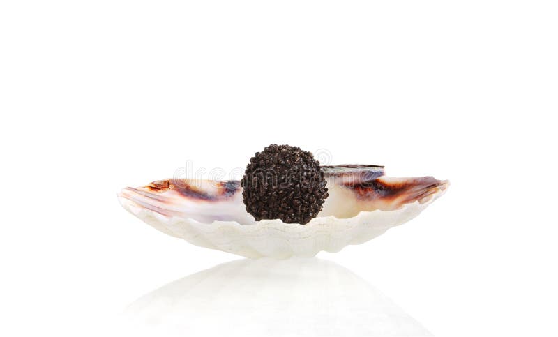 Dark chocolate in a seashell