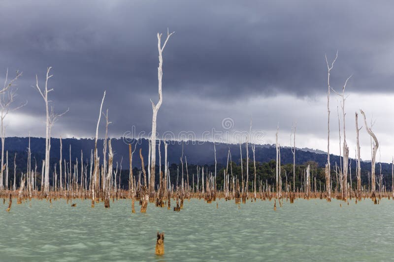 Dark clouds above the Brokopondo lake reservoir in Suriname