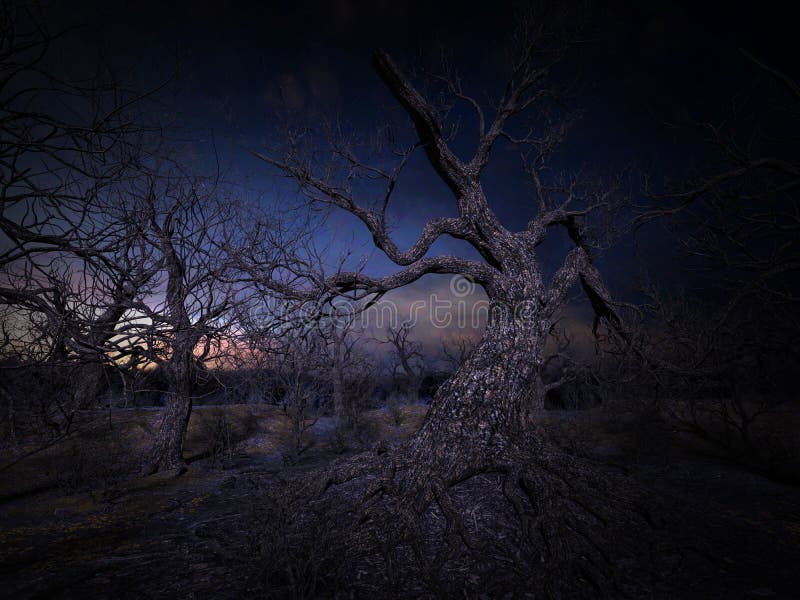 Dark, Creepy Halloween Forest Background Stock Image - Image of dark,  scene: 204542987