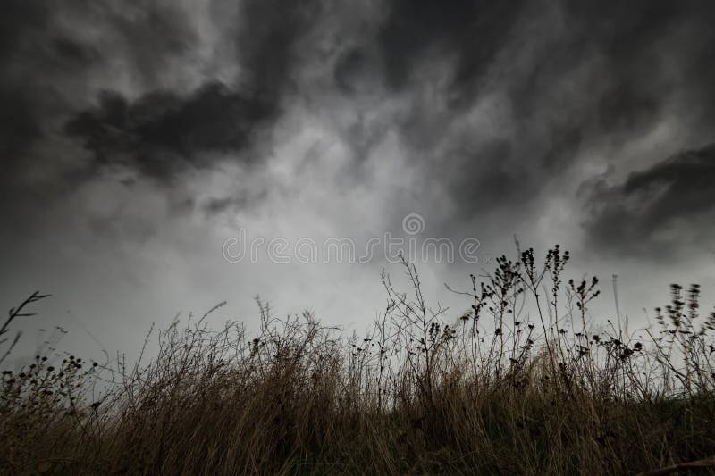 Dark dramatic sky with black stormy clouds before rain as abstract background extreme weather and dry grass imagen de archivo libre de regalías