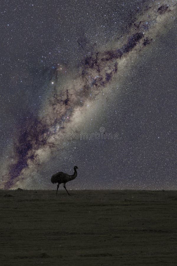 dark emu author dark emu author