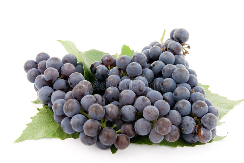 Dark grape with leaf