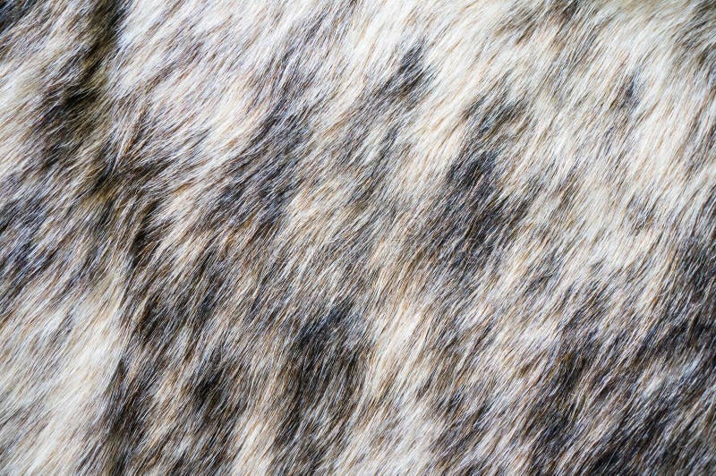 Fur texture Mink fur alpha stock photo. Image of texture 29729526