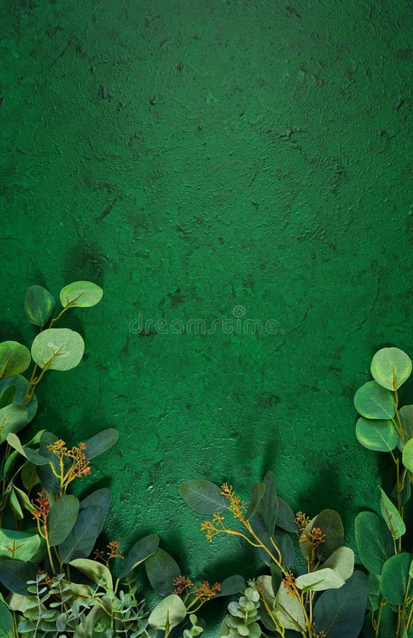 Dark Green Aesthetic Nature Theme Creative Layout Flat Lay Background.  Stock Image - Image of minimal, plant: 185272863