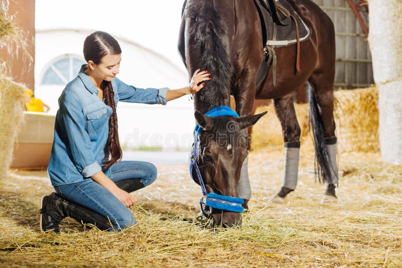 Dark-haired horsewoman with long braid visiting stable and horse stock photo Dark-haired horsewoman with long braid visiting stable and horse stock photo