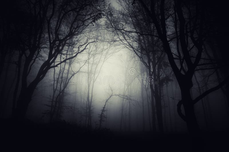 Dark haunted Halloween forest at night