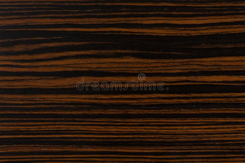 wood texture background with high resolution, natural wooden