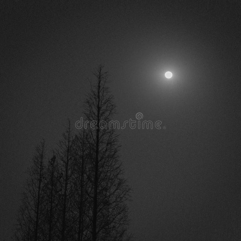 Dark night with moon stock image. Image of dark, university 52245175