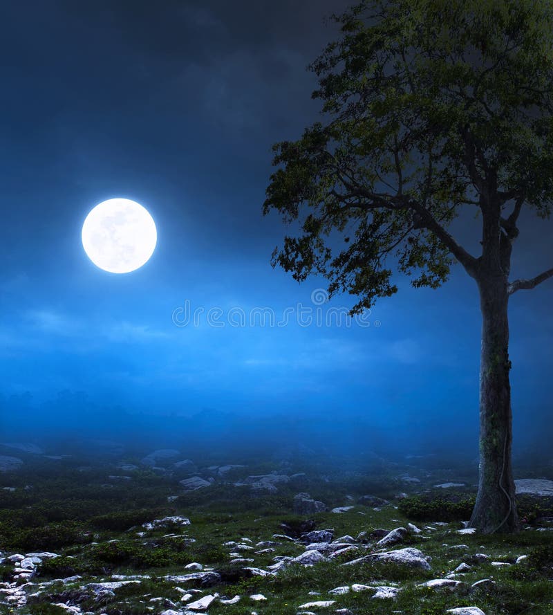 Dark Night Scene, Fog, Blue Light and Bright Moon Stock Image - Image of  moon, silhouette: 222598411