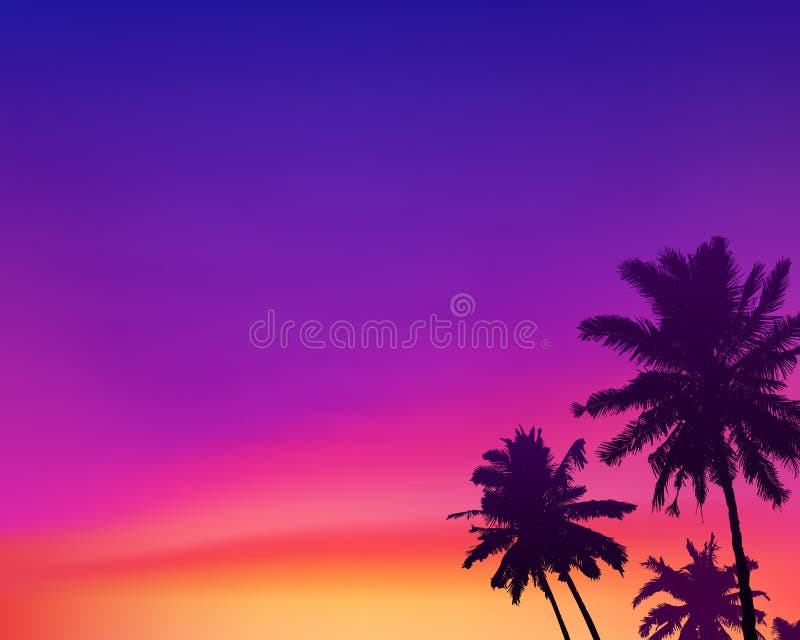 Dark Palm Trees Silhouettes On Violet And Pink Colors Sunset Sky