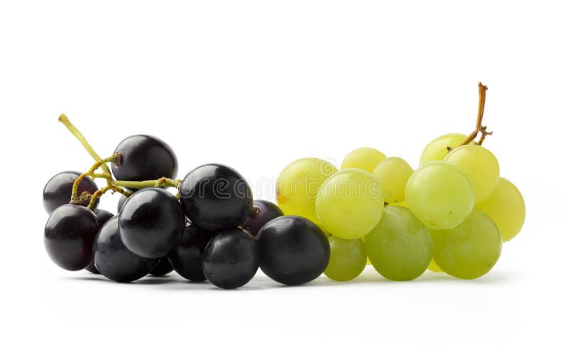 Dark Purple and Green Grapes Stock Image Image of studio, diet 44668785