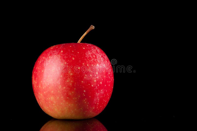 Dark-red apple. on black. stock photo. Image of juicy - 26638110