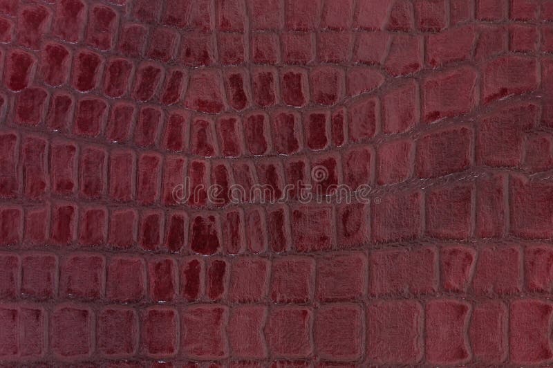 790 Red Crocodile Leather Texture Stock Photos - Free & Royalty-Free Stock  Photos from Dreamstime