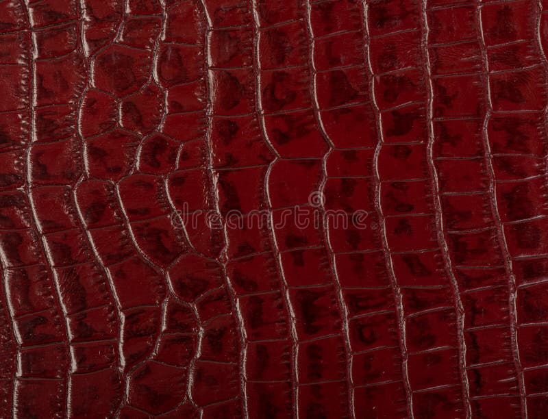 5,956 Red Crocodile Texture Images, Stock Photos, 3D objects, & Vectors