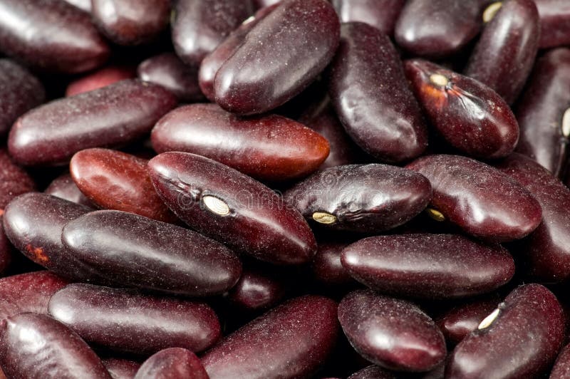 Dark Red Kidney Beans Picture. Image 8418970