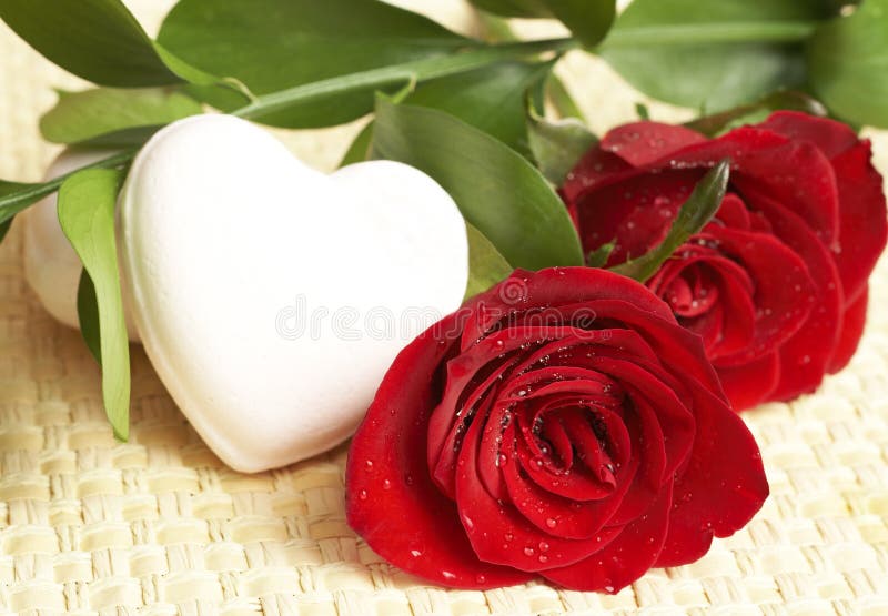 Dark red roses with water drops