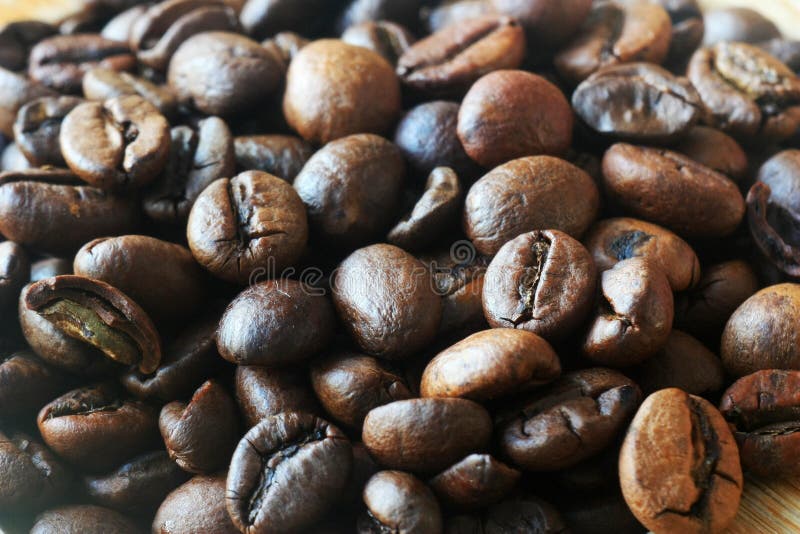 Dark Roasted Brown Coffee Beans Stock Image Image of festive