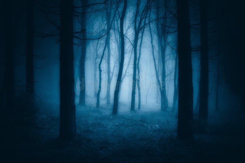 Dark Scary Forest with Creepy Trees Stock Image - Image of bare, darkness: 116813291 Dark Scary Forest with Creepy Trees Stock Image - Image of bare, darkness: 116813291