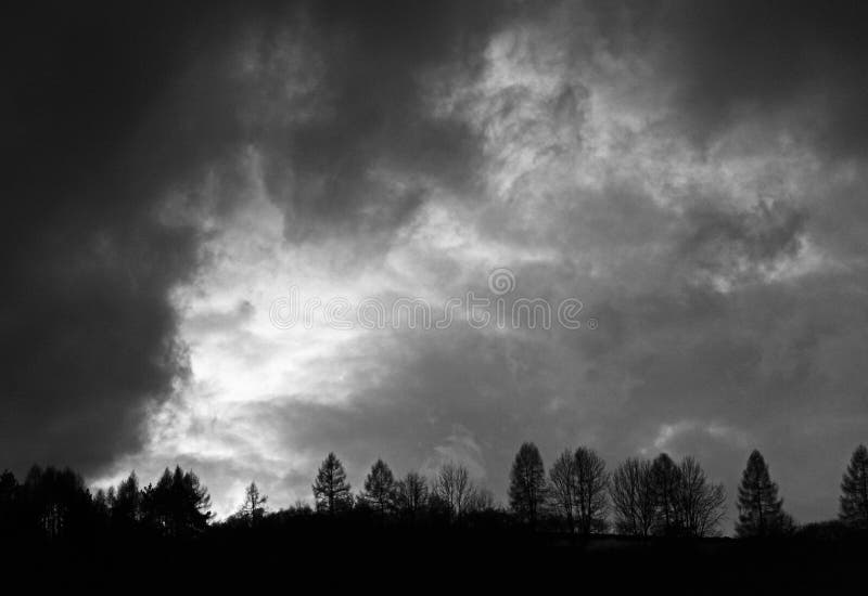 Dark sky and trees