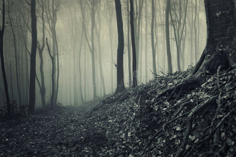 Dark spooky forest with fog and halloween atmosphere in autumn