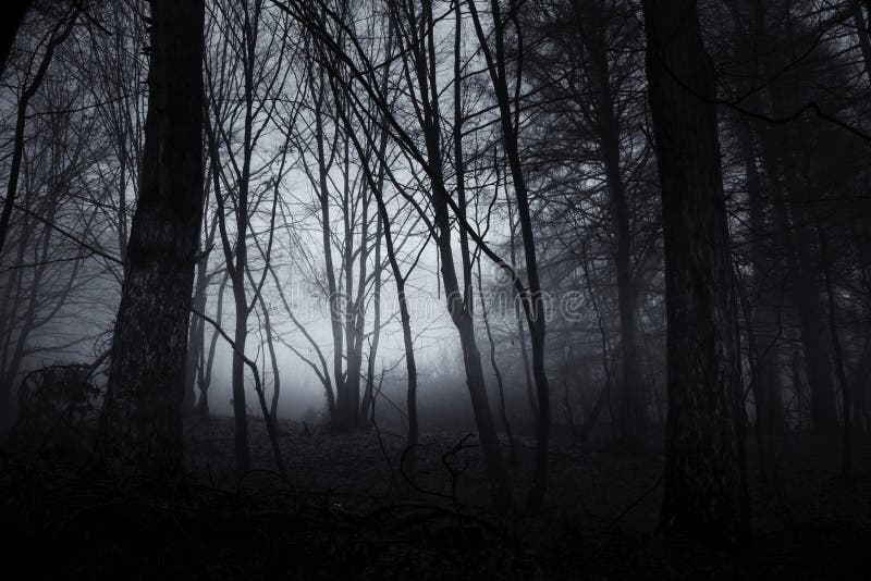 Dark spooky forest at night on Halloween
