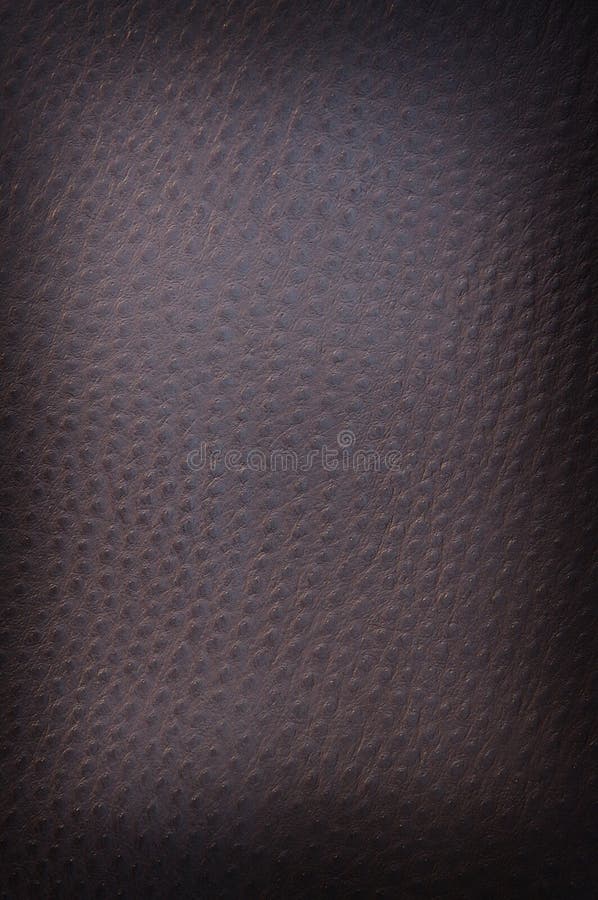 Dark spotted leather