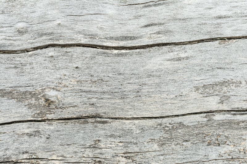 Dark Texture of Old Natural Wood with Cracks from Exposure To Sun and