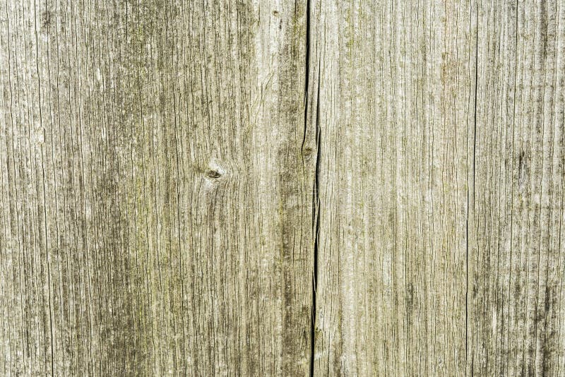 Dark Texture of Old Natural Wood with Cracks from Exposure To Sun and