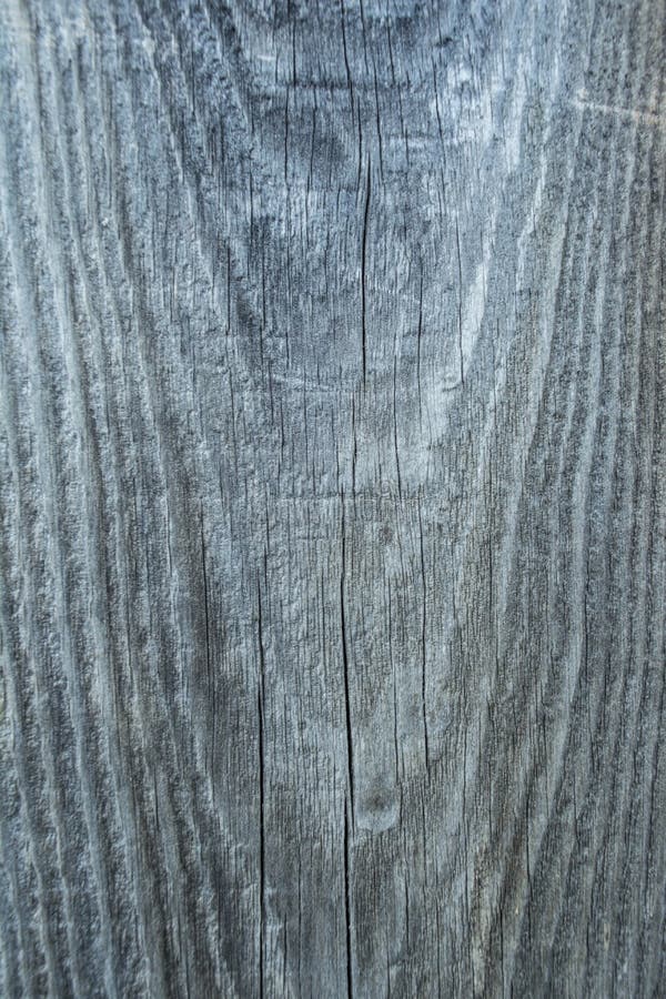 Dark Texture of Old Natural Wood with Cracks from Exposure To Sun and