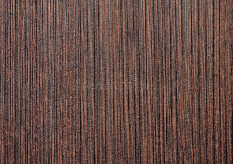 Dark Walnut, Polished Natural Wood Surface on a Saw Closeup with