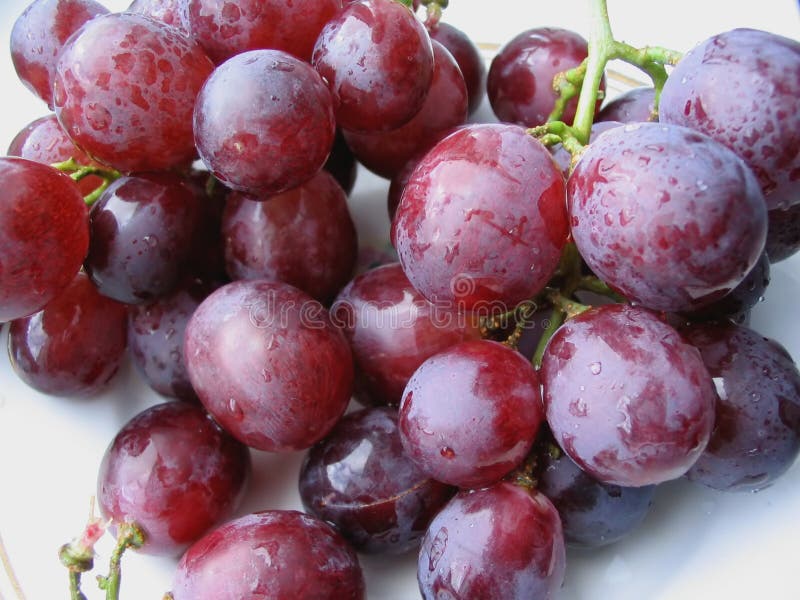 Dark wet grapes stock photography Dark wet grapes stock photography