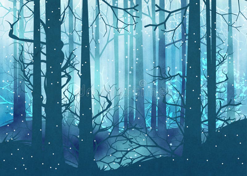 Dark Winter Forest.