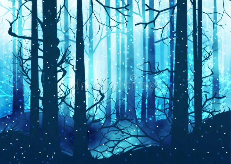 Dark Winter Forest