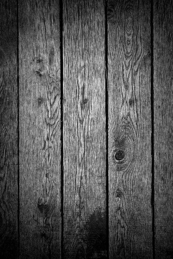 Black and White Wood Texture Stock Photo Image of pine, texture 29742820