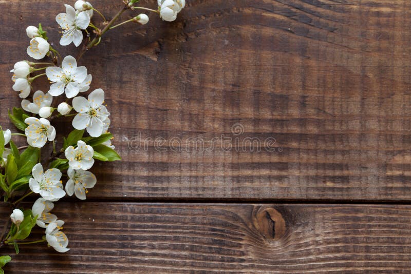 Rustic Wood Background with White Cherry Flowers. Top View Stock Photo -  Image of spring, moisturizing: 146755426