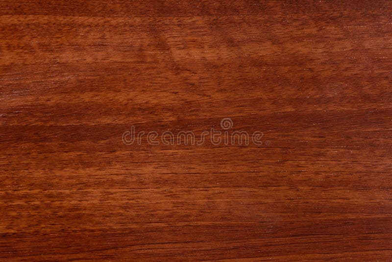 Beautiful Brown Wood Background on Lacquered Textured Plywood Stock Photo -  Image of board, nature: 113386764