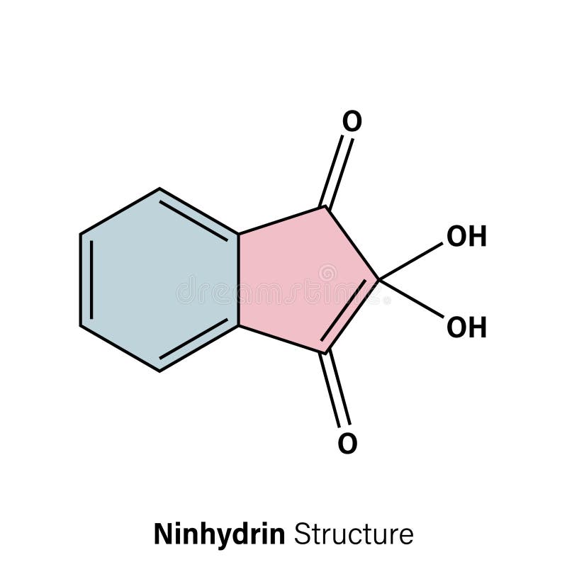 Darstellung der Ninhydrin-Struktur. stock abbildung