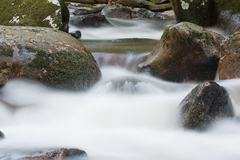 Dartmoor Stream