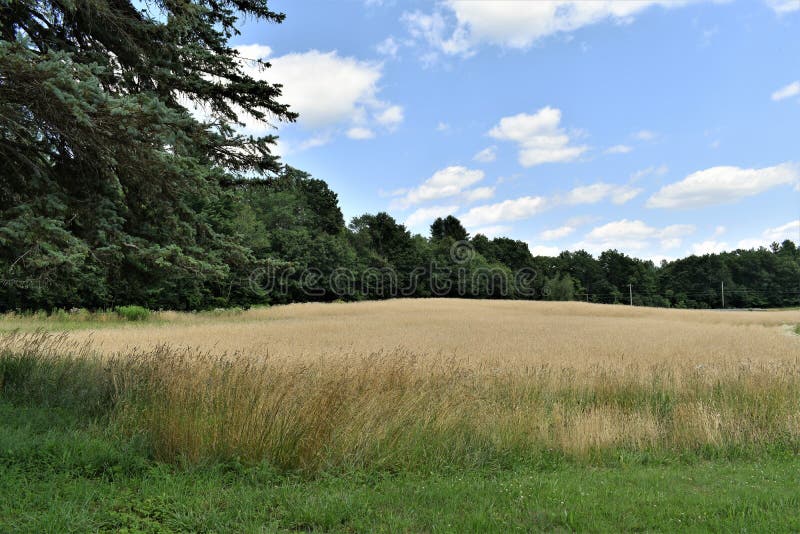 Das allgemeine Feld im Sommer, Stadt von Groton, Middlesex County, Massachusetts, Vereinigte Staaten lizenzfreie stockfotos Das allgemeine Feld im Sommer, Stadt von Groton, Middlesex County, Massachusetts, Vereinigte Staaten lizenzfreie stockfotos