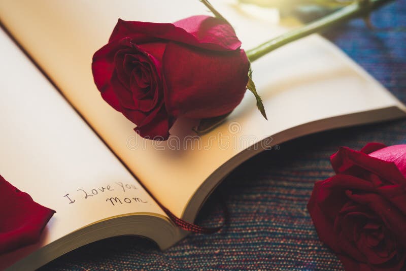 Das Aufschriftanmerkung ` ich liebe dich Mutter ` innerhalb des klassischen Papierbuches mit heller roter Rose Mather-` s Tag, Va stockfoto