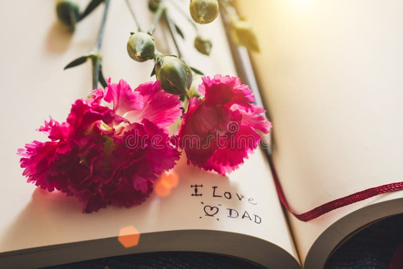 Das Aufschriftanmerkung ` ich liebe dich Vati ` innerhalb des klassischen Papierbuches mit heller rosa Gartennelke Bringen Sie ` stockfoto