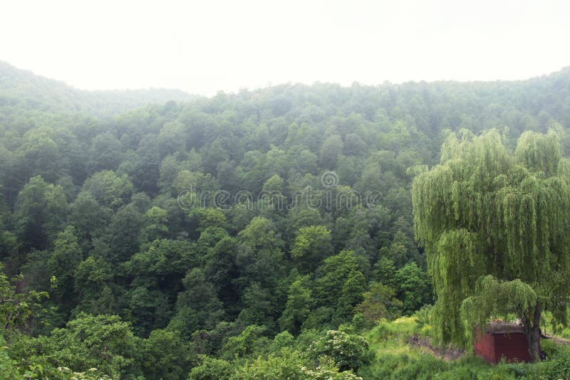 Das bewaldete Tal der Ijevan-Strecke Nebel über den Bergen Ansicht vom Kloster Haghartsin Große Weide armenien stockfotografie Das bewaldete Tal der Ijevan-Strecke Nebel über den Bergen Ansicht vom Kloster Haghartsin Große Weide armenien stockfotografie