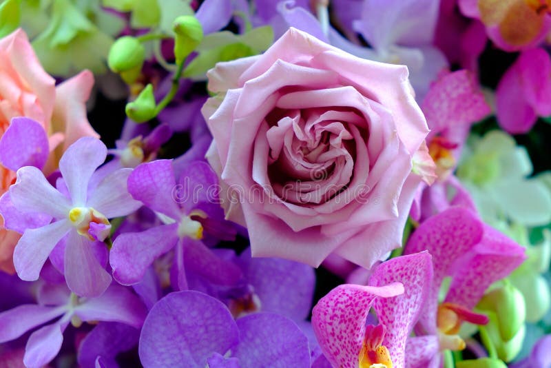 Das Bild des bunten Rosenblumenblumenstraußes mit Unschärfehintergrund lizenzfreies stockfoto Das Bild des bunten Rosenblumenblumenstraußes mit Unschärfehintergrund lizenzfreies stockfoto