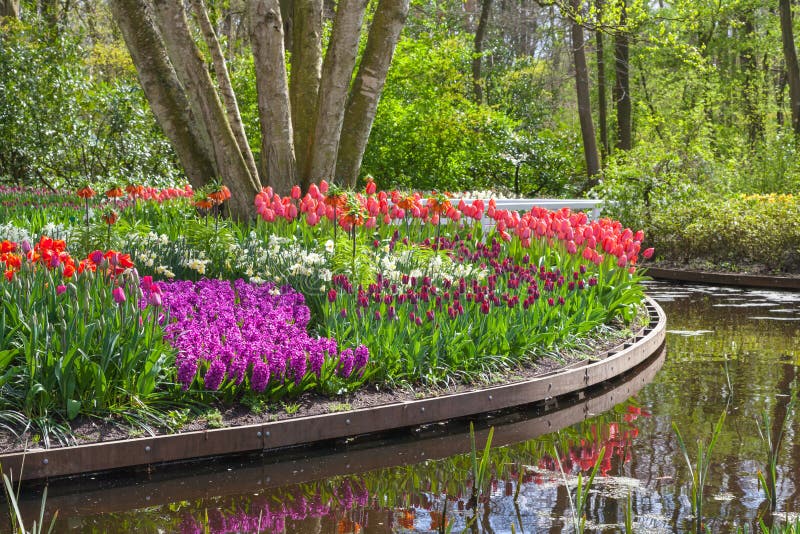 Schöner Frühling Blüht Nahe Teich in KeukenhofPark in Den Niederlanden