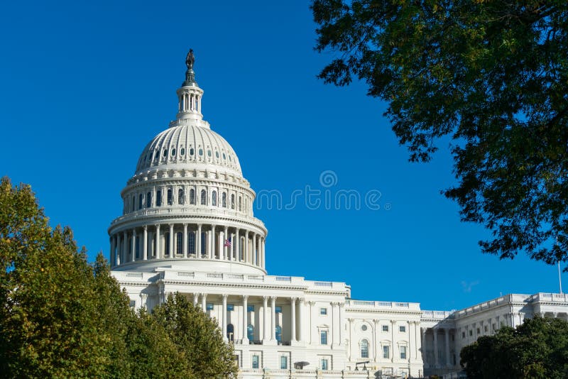 Das Kapitolgebäude der Vereinigten Staaten, umrahmt von grünen Bäumen in Washington D.C. C lizenzfreie stockbilder Das Kapitolgebäude der Vereinigten Staaten, umrahmt von grünen Bäumen in Washington D.C. C lizenzfreie stockbilder